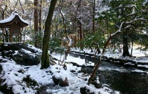 上賀茂神社楢の小川