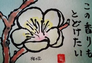 梅の花の絵手紙