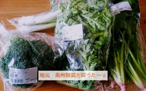 せんなんわくわく広場の野菜