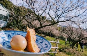 金熊寺のおでん