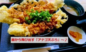 わくわく広場の穴子天丼