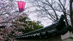 岸和田城の屋根瓦と桜