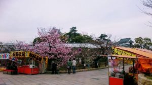 岸和田城の屋台