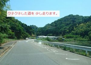 泉南のバラ園への道