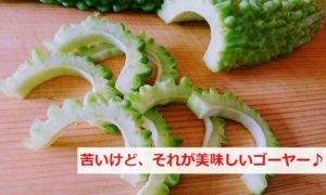 ゴーヤの苦味は体に良い