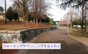 二色の浜公園・散歩道