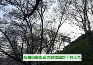 山中渓と阪和自動車道