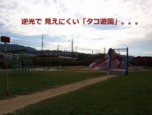 阪南のせんなん里海公園